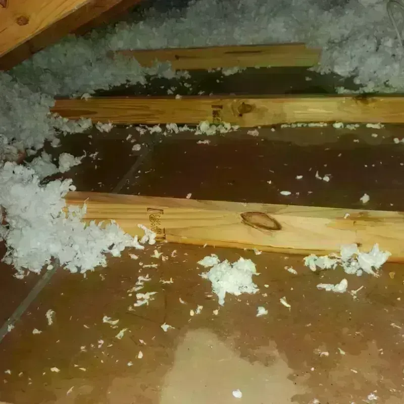 Attic Water Damage in Rockford, IL