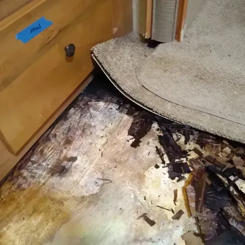 Wood Floor Water Damage in Rockford, IL